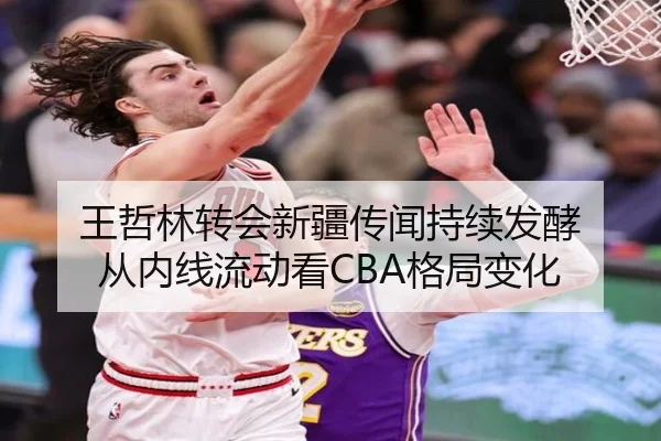 王哲林转会新疆传闻持续发酵 从内线流动看CBA格局变化